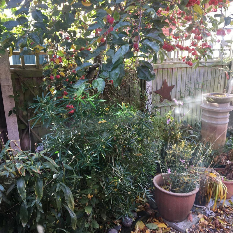 kath-wallace-garden-studio-12